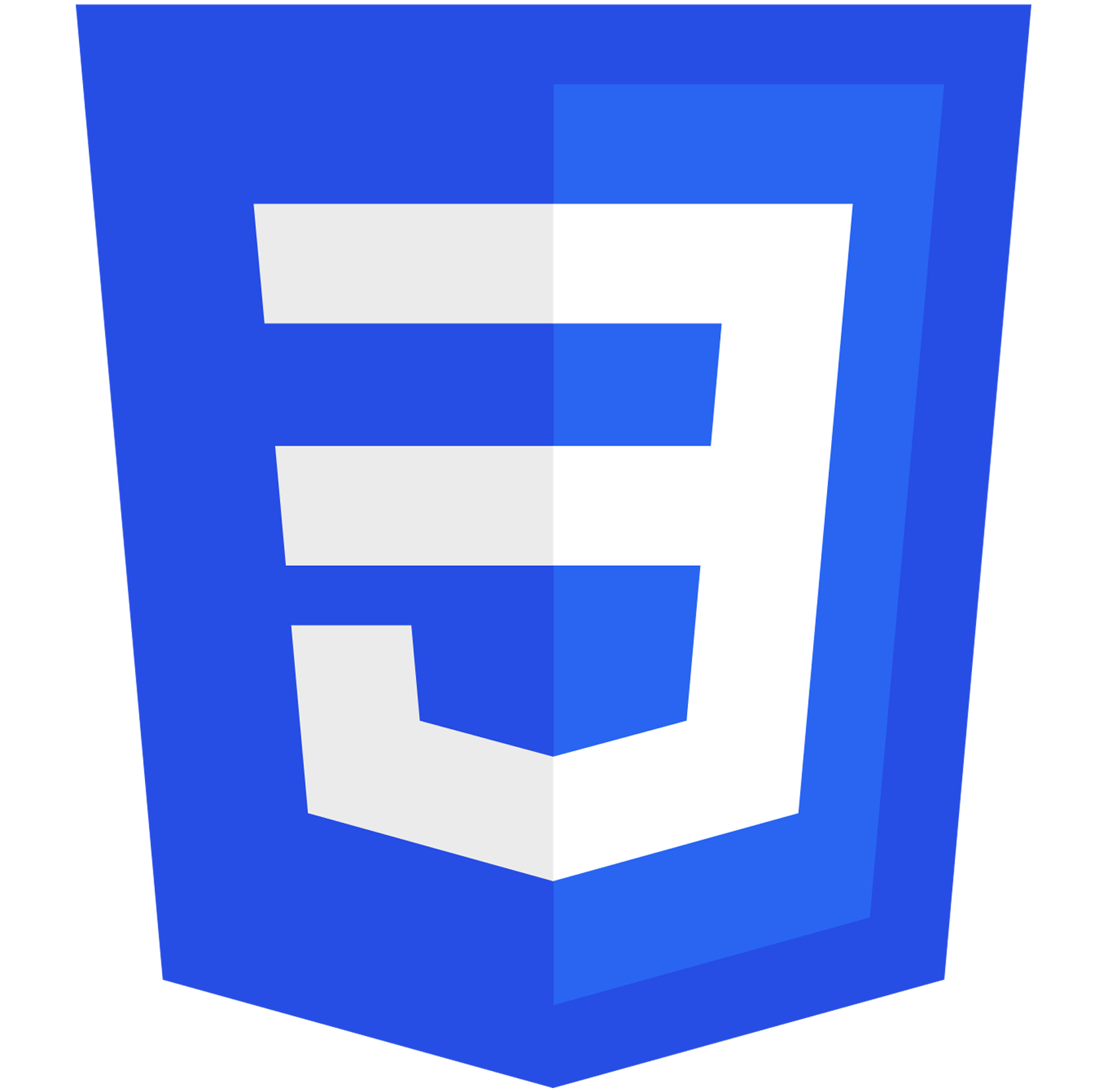 CSS Logo